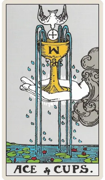 Selected card